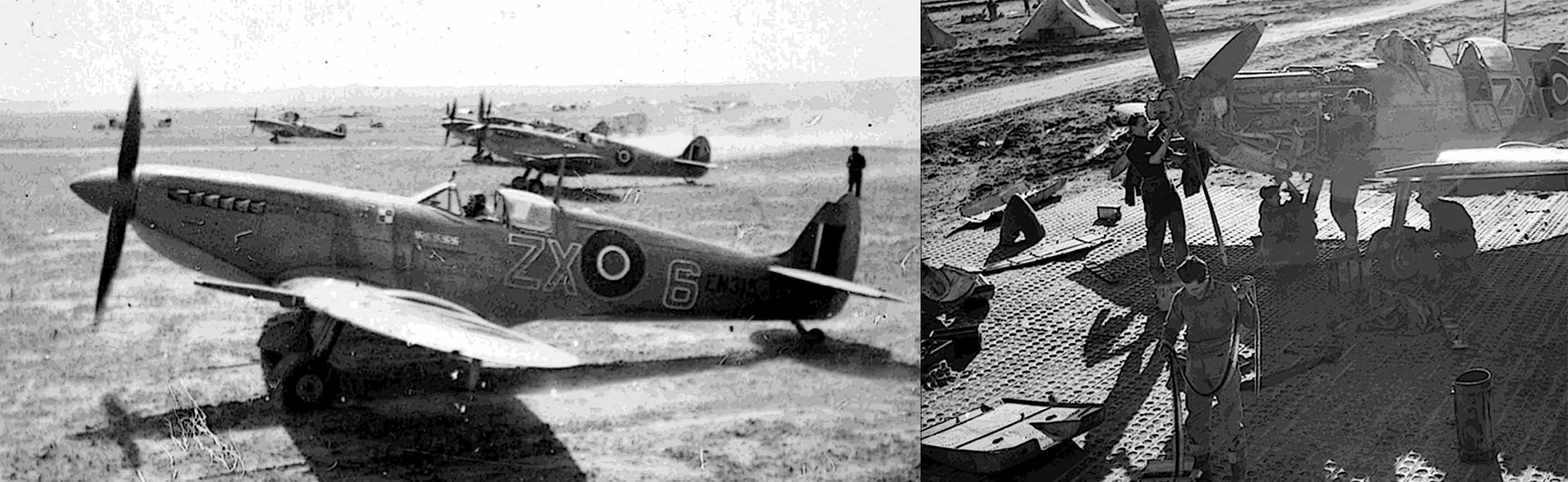 Supermarine Spitfire Mk.IX RAF, EN315 ZX-6 CG of Flt. Lt. Eugeniusz Horbaczewski of No.145 Sqn, La Fouconnerie, Tunisia, April 1943